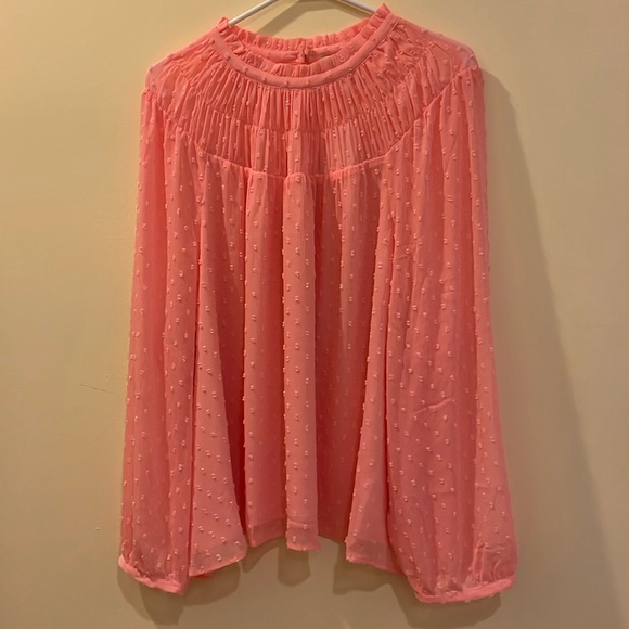 J Crew Pink Women’s Blouse With Lining Size 3X, NWT - Picture 1 of 9